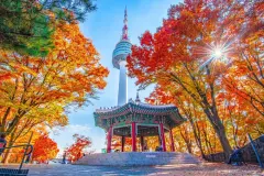CRAZY SALE KOREA SPECIAL SUPPORT TOUR  PROGRAM